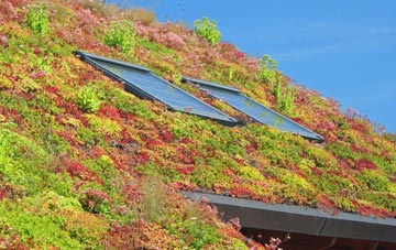 Londonderry living roof systems