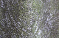 Londonderry fibreglass roof work